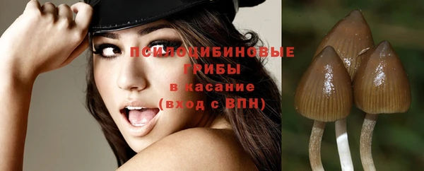 молекула духа Баксан