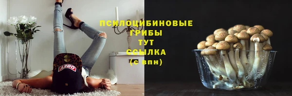 хмурый Балабаново