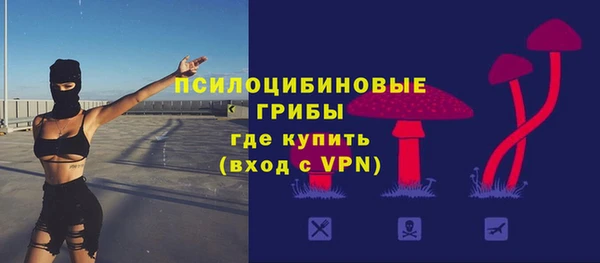 хмурый Балабаново