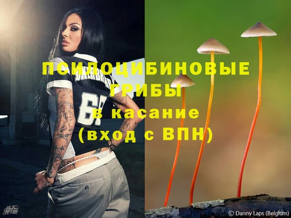 молекула духа Баксан