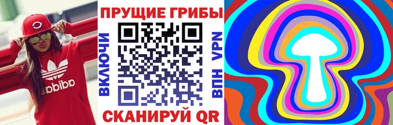 Галлюциногенные грибы Magic Shrooms  Купить где  Нарткала 
